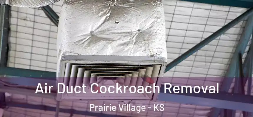 Air Duct Cockroach Removal Prairie Village - KS