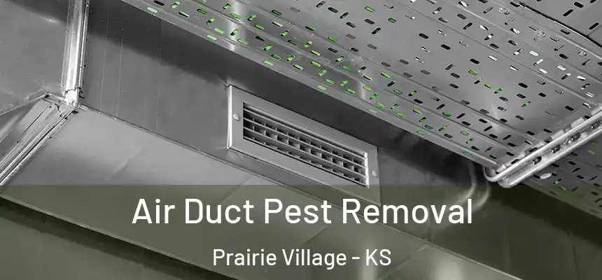 Air Duct Pest Removal Prairie Village - KS