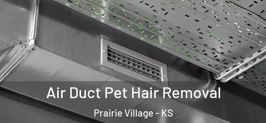 Air Duct Pet Hair Removal Prairie Village - KS