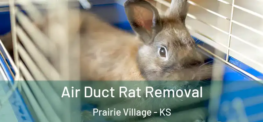 Air Duct Rat Removal Prairie Village - KS