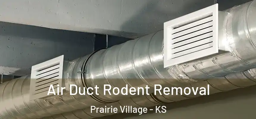 Air Duct Rodent Removal Prairie Village - KS