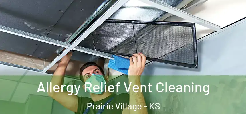  Allergy Relief Vent Cleaning Prairie Village - KS
