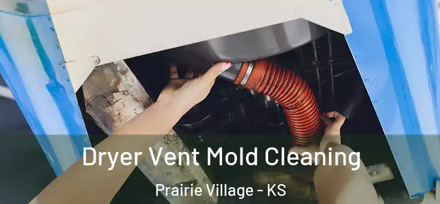  Dryer Vent Mold Cleaning Prairie Village - KS