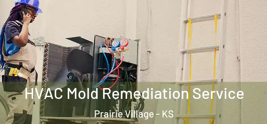 HVAC Mold Remediation Service Prairie Village - KS