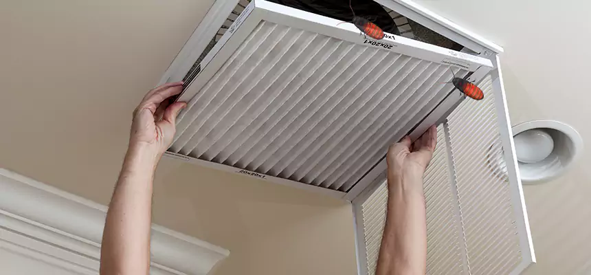 Preventive Cockroach-Proofing for Ducts in Prairie Village