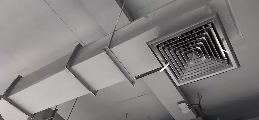 Our Pest Removal From Ducts Services in Prairie Village, KS