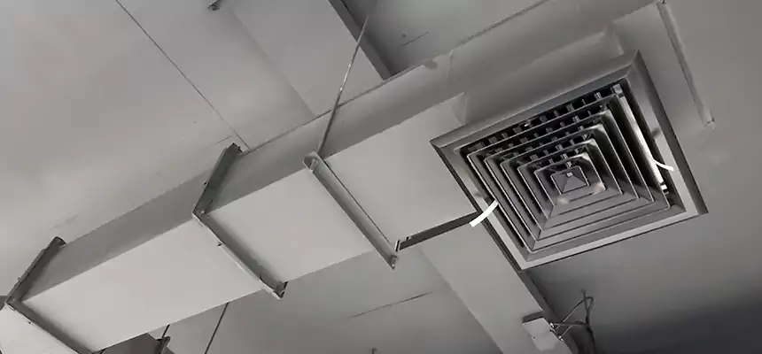 Our Rodent Droppings In Vents Services in Prairie Village, KS