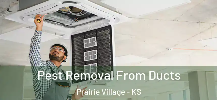 Pest Removal From Ducts Prairie Village - KS