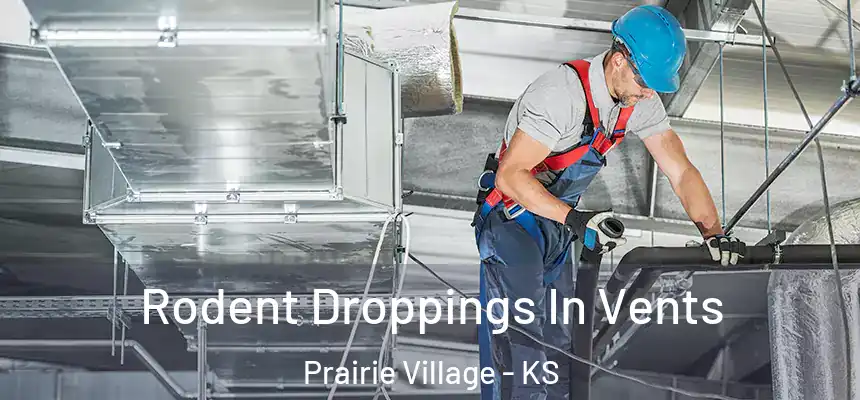 Rodent Droppings In Vents Prairie Village - KS