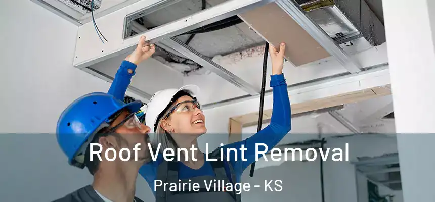 Roof Vent Lint Removal Prairie Village - KS