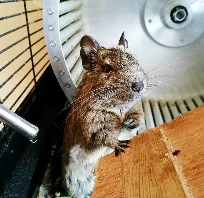 Why Homeowners & Businesses Trust Us Prairie Village, KS?